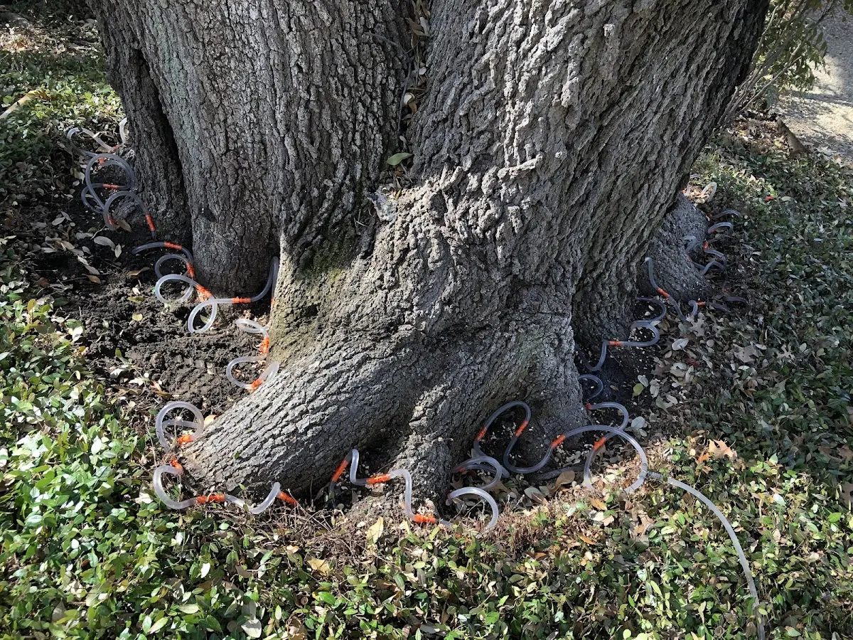 Detailed Shrub and Hedge Trimming job site in Little Rock Air Force Base