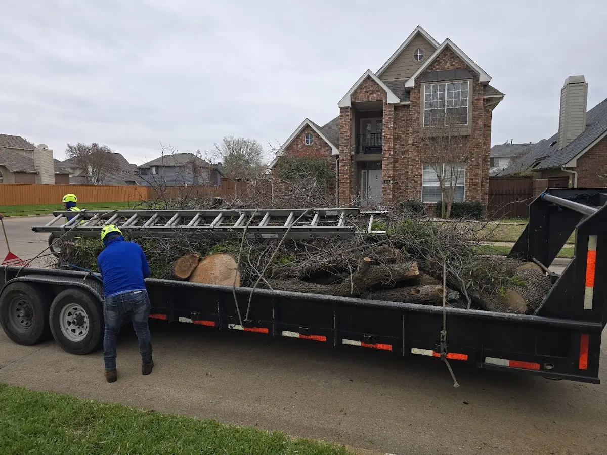 Expert Tree Fertilization with proper safety equipment in Little Rock Air Force Base
